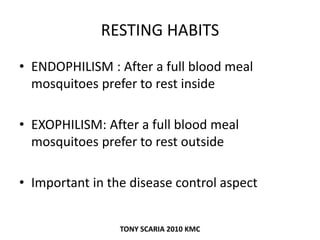 RESTING HABITS
• ENDOPHILISM : After a full blood meal
mosquitoes prefer to rest inside
• EXOPHILISM: After a full blood meal
mosquitoes prefer to rest outside
• Important in the disease control aspect
TONY SCARIA 2010 KMC
 