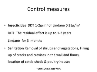 Control measures
• Insecticides DDT 1-2g/m² or Lindane 0.25g/m²
DDT The residual effect is up to 1-2 years
Lindane for 3 months
• Sanitation Removal of shrubs and vegetations, Filling
up of cracks and crevices in the wall and floors,
location of cattle sheds & poultry houses
TONY SCARIA 2010 KMC
 