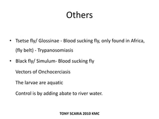 Others
• Tsetse fly/ Glossinae - Blood sucking fly, only found in Africa,
(fly belt) - Trypanosomiasis
• Black fly/ Simulum- Blood sucking fly
Vectors of Onchocerciasis
The larvae are aquatic
Control is by adding abate to river water.
TONY SCARIA 2010 KMC
 