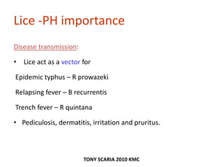 Lice -PH importance
Disease transmission:
• Lice act as a vector for
Epidemic typhus – R prowazeki
Relapsing fever – B recurrentis
Trench fever – R quintana
• Pediculosis, dermatitis, irritation and pruritus.
TONY SCARIA 2010 KMC
 