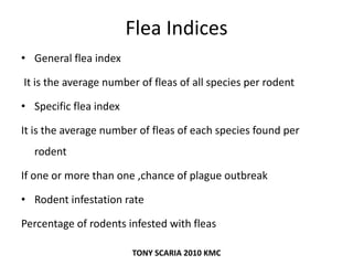 Flea Indices
• General flea index
It is the average number of fleas of all species per rodent
• Specific flea index
It is the average number of fleas of each species found per
rodent
If one or more than one ,chance of plague outbreak
• Rodent infestation rate
Percentage of rodents infested with fleas
TONY SCARIA 2010 KMC
 