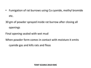 • Fumigation of rat burrows using Ca cyanide, methyl bromide
etc.
30 gm of powder sprayed inside rat burrow after closing all
openings
Final opening sealed with wet mud
When powder form comes in contact with moisture it emits
cyanide gas and kills rats and fleas
TONY SCARIA 2010 KMC
 