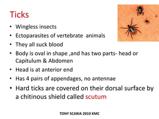 Ticks
• Wingless insects
• Ectoparasites of vertebrate animals
• They all suck blood
• Body is oval in shape ,and has two parts- head or
Capitulum & Abdomen
• Head is at anterior end
• Has 4 pairs of appendages, no antennae
• Hard ticks are covered on their dorsal surface by
a chitinous shield called scutum
TONY SCARIA 2010 KMC
 