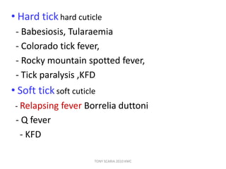 • Hard tickhard cuticle
- Babesiosis, Tularaemia
- Colorado tick fever,
- Rocky mountain spotted fever,
- Tick paralysis ,KFD
• Soft ticksoft cuticle
- Relapsing fever Borrelia duttoni
- Q fever
- KFD
TONY SCARIA 2010 KMC
 