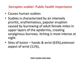 Sarcoptes scabiei- Public health importance
• Causes human scabies
• Scabies is characterized by an intensely
pruritic, erythematous, papular eruption
caused by burrowing of adult female mites in
upper layers of the epidermis, creating
serpiginous burrows. Itching is most intense at
night
• Sites of lesion – hands & wrist (63%),extensor
aspect of wrist (11%),
TONY SCARIA 2010 KMC
 