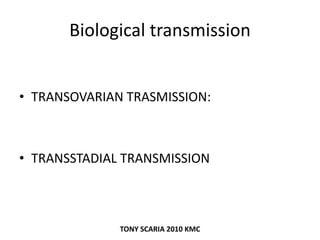 Biological transmission
• TRANSOVARIAN TRASMISSION:
• TRANSSTADIAL TRANSMISSION
TONY SCARIA 2010 KMC
 