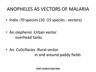 ANOPHELES AS VECTORS OF MALARIA
• India :70 species (10 -15 species : vectors)
• An.stephensi :Urban vector
overhead tanks
• An. Culicifacies :Rural vector
in and around paddy fields
TONY SCARIA 2010 KMC
 
