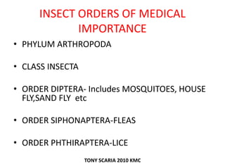 INSECT ORDERS OF MEDICAL
IMPORTANCE
• PHYLUM ARTHROPODA
• CLASS INSECTA
• ORDER DIPTERA- Includes MOSQUITOES, HOUSE
FLY,SAND FLY etc
• ORDER SIPHONAPTERA-FLEAS
• ORDER PHTHIRAPTERA-LICE
TONY SCARIA 2010 KMC
 