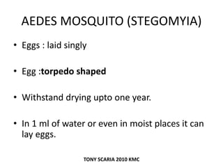 AEDES MOSQUITO (STEGOMYIA)
• Eggs : laid singly
• Egg :torpedo shaped
• Withstand drying upto one year.
• In 1 ml of water or even in moist places it can
lay eggs.
TONY SCARIA 2010 KMC
 