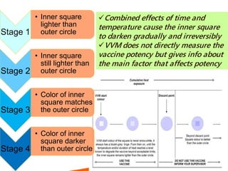 Stage 1
• Inner square
lighter than
outer circle
Stage 2
• Inner square
still lighter than
outer circle
Stage 3
• Color of inner
square matches
the outer circle
Stage 4
• Color of inner
square darker
than outer circle
Combined effects of time and
temperature cause the inner square
to darken gradually and irreversibly
VVM does not directly measure the
vaccine potency but gives info about
the main factor that affects potency
 