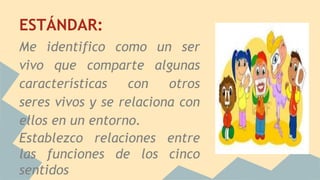 ESTÁNDAR:
Me identifico como un ser
vivo que comparte algunas
características con otros
seres vivos y se relaciona con
ellos en un entorno.
Establezco relaciones entre
las funciones de los cinco
sentidos
 