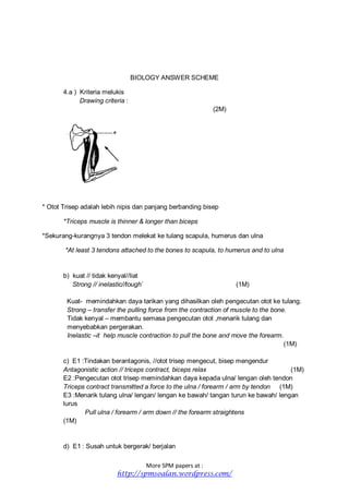 More SPM papers at :
http://spmsoalan.wordpress.com/
BIOLOGY ANSWER SCHEME
4.a ) Kriteria melukis
Drawing criteria :
(2M)
* Otot Trisep adalah lebih nipis dan panjang berbanding bisep
*Triceps muscle is thinner & longer than biceps
*Sekurang-kurangnya 3 tendon melekat ke tulang scapula, humerus dan ulna
*At least 3 tendons attached to the bones to scapula, to humerus and to ulna
b) kuat // tidak kenyal//liat
Strong // inelastic//tough` (1M)
Kuat- memindahkan daya tarikan yang dihasilkan oleh pengecutan otot ke tulang.
Strong – transfer the pulling force from the contraction of muscle to the bone.
Tidak kenyal – membantu semasa pengecutan otot ,menarik tulang dan
menyebabkan pergerakan.
Inelastic –it help muscle contraction to pull the bone and move the forearm.
(1M)
c) E1 :Tindakan berantagonis, //otot trisep mengecut, bisep mengendur
Antagonistic action // triceps contract, biceps relax (1M)
E2 :Pengecutan otot trisep memindahkan daya kepada ulna/ lengan oleh tendon
Triceps contract transmitted a force to the ulna / forearm / arm by tendon (1M)
E3 :Menarik tulang ulna/ lengan/ lengan ke bawah/ tangan turun ke bawah/ lengan
lurus
Pull ulna / forearm / arm down // the forearm straightens
(1M)
d) E1 : Susah untuk bergerak/ berjalan
 