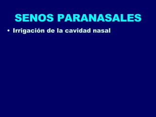 SENOS PARANASALES Irrigación de la cavidad nasal 