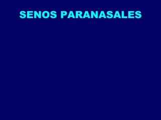 SENOS PARANASALES 