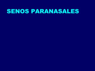 SENOS PARANASALES 