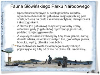 Fauna Słowińskiego Parku Narodowego Spośród stwierdzonych tu setek gatunków owadów, wykazano obecność 30 gatunków znajdujących się pod ścisłą ochroną na czele z rzadkimi motylami, chrząszczami  i skoczogonkami. Z płazów (10 gatunków) znajdziemy ropuchy i żaby, natomiast gady (5 gatunków) reprezentują jaszczurki, padalec i żmija zygzakowata. Z większych ssaków zobaczymy tutaj łosia, jelenia, sarnę, daniela i dzika, natomiast z małych lisa, gronostaja, jenota, borsuka, wydrę, piżmaka oraz bobra. Do osobliwości świata zwierzęcego należy zaliczyć pojawiające się tutaj od czasu do czasu foki i morświny. 