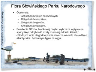 Flora Słowińskiego Parku Narodowego Obejmuje: 920 gatunków roślin naczyniowych, 165 gatunków mszaków, 500 gatunków glonów, 430 gatunków grzybów. Położenie SPN w środkowej części wybrzeża wpływa na specyfikę i odrębność szaty roślinnej. Morski klimat o chłodnym lecie i łagodnej zimie stwarza warunki dla roślin o atlantyckim i borealnym typie zasięgu. 