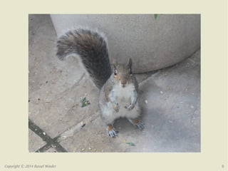 Copyright © 2014 Russel Winder 8 
 