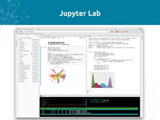 Jupyter Lab
 