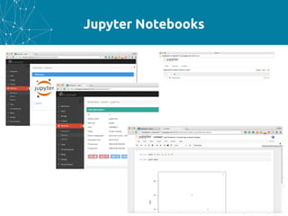 Jupyter Notebooks
 