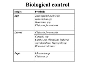 Biological control
Stages Prasitoid
Egg Trichogramma chilonis
Tetrastichus spp
Telenomus spp
Chelonus formosanus
Larvae Chelonus formosanus
Carcelia spp
Campoletis chlorideae Eriborus
argentiopilosus Microplitis sp
Bracon brevicornis
Pupa Ichneumon sp
Chelonus sp
 