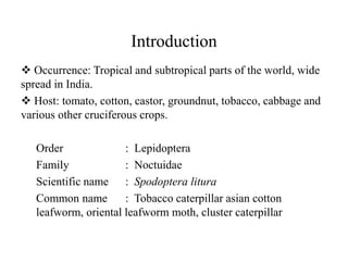 Introduction
 Occurrence: Tropical and subtropical parts of the world, wide
spread in India.
 Host: tomato, cotton, castor, groundnut, tobacco, cabbage and
various other cruciferous crops.
Order : Lepidoptera
Family : Noctuidae
Scientific name : Spodoptera litura
Common name : Tobacco caterpillar asian cotton
leafworm, oriental leafworm moth, cluster caterpillar
 
