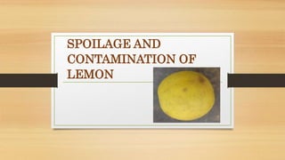 SPOILAGE AND
CONTAMINATION OF
LEMON
 