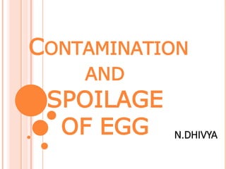 CONTAMINATION
AND
SPOILAGE
OF EGG N.DHIVYA
 