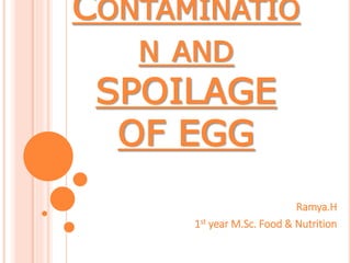 CONTAMINATIO
N AND
SPOILAGE
OF EGG
Ramya.H
1st year M.Sc. Food & Nutrition
 