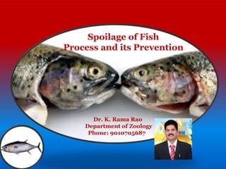 Spoilage of Fish
Process and its Prevention
Dr. K. Rama Rao
Department of Zoology
Phone: 9010705687
 