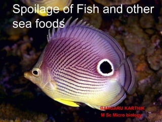 Spoilage of Fish and other
sea foods
BANGARU KARTHIK
M Sc Micro biology
 