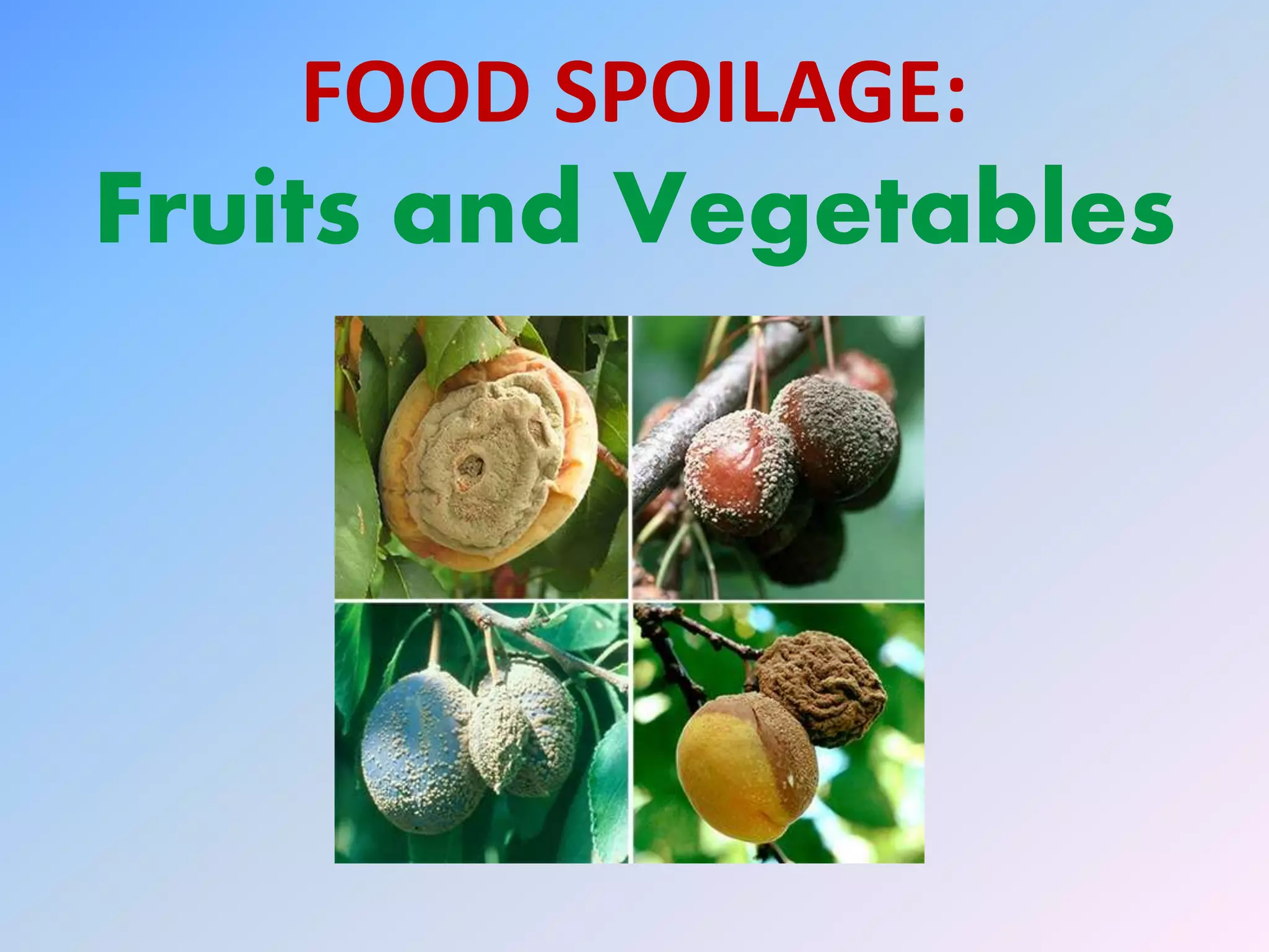 Microbial Spoilage of fruits and vegetables PPT