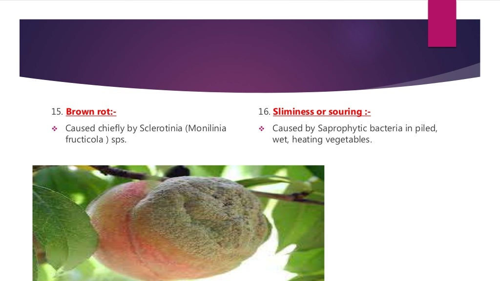 Spoilage of fruits and vegetables