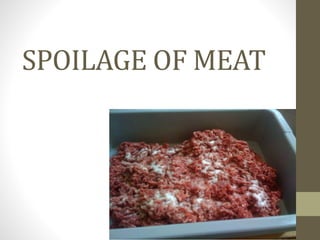 SPOILAGE OF MEAT
 