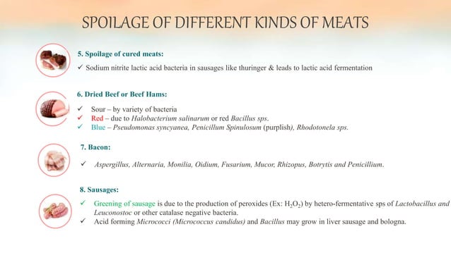 Spoilage of Meat and Meat products | PPTX | Vegetarian Diets | Food & Drink