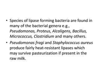 • Species of lipase forming bacteria are found in
many of the bacterial genera e.g.,
Pseudomonas, Proteus, Alcaligens, Bacillus,
Micrococcus, Clostridium and many others.
• Pseudomonas fragi and Staphylococcus aureus
produce fairly heat-resistant lipases which
may survive pasteurization if present in the
raw milk.
 