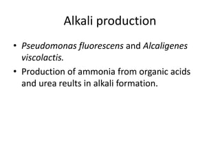 Alkali production
• Pseudomonas fluorescens and Alcaligenes
viscolactis.
• Production of ammonia from organic acids
and urea reults in alkali formation.
 