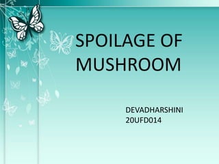 SPOILAGE OF
MUSHROOM
DEVADHARSHINI
20UFD014
 