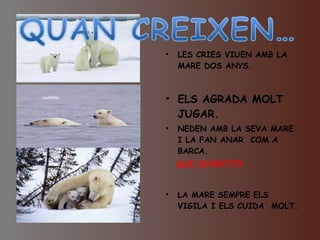 LES CRIES VIUEN AMB LA MARE DOS ANYS. ELS AGRADA MOLT JUGAR.   NEDEN AMB LA SEVA MARE I LA FAN ANAR  COM A BARCA.  QUE DIVERTIT!! LA MARE SEMPRE ELS VIGILA I ELS CUIDA  MOLT. 