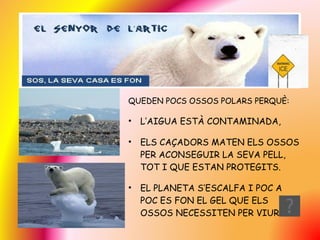 QUEDEN POCS OSSOS POLARS PERQUÈ: L’AIGUA ESTÀ CONTAMINADA, ELS CAÇADORS MATEN ELS OSSOS PER ACONSEGUIR LA SEVA PELL, TOT I QUE ESTAN PROTEGITS. EL PLANETA S’ESCALFA I POC A POC ES FON EL GEL QUE ELS OSSOS NECESSITEN PER VIURE. 