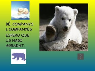 BÉ, COMPANYS I COMPANYES ESPERO QUE US HAGI AGRADAT. 