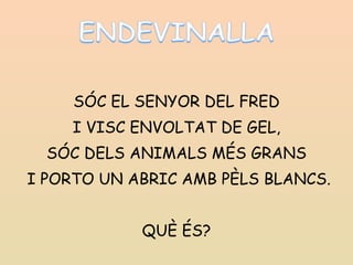SÓC EL SENYOR DEL FRED I VISC ENVOLTAT DE GEL, SÓC DELS ANIMALS MÉS GRANS I PORTO UN ABRIC AMB PÈLS BLANCS. QUÈ ÉS? 