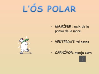 MAMÍFER : neix de la panxa de la mare VERTEBRAT: té ossos CARNÍVOR: menja carn 