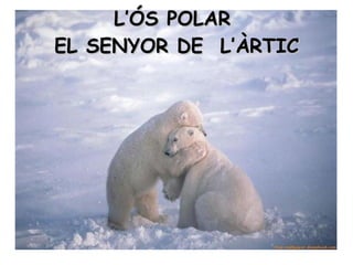 L’ѳ POLAR  EL SENYOR DE  L’ÀRTIC 