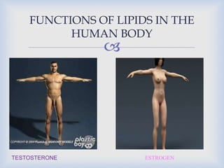 
FUNCTIONS OF LIPIDS IN THE
HUMAN BODY
TESTOSTERONE ESTROGEN
 