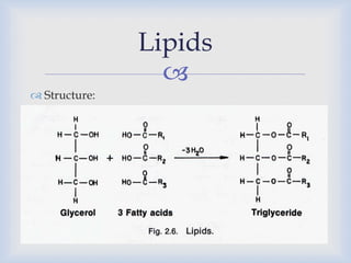 
 Structure:
Lipids
 