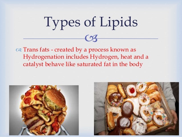 lipids fats and oils lipids food