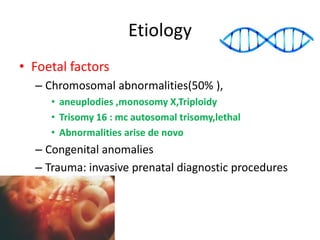 Etiology
• Foetal factors
– Chromosomal abnormalities(50% ),
• aneuplodies ,monosomy X,Triploidy
• Trisomy 16 : mc autosomal trisomy,lethal
• Abnormalities arise de novo
– Congenital anomalies
– Trauma: invasive prenatal diagnostic procedures
 