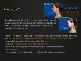 Alte cauze ?
• leziuni ale gâtului - acestea pot să crească riscul apariţiei spondilozei cervicale
• factori genetici - în unele familii pot exista predispoziţii către această boală
• excesul de greutate şi lipsa exerciţiilor fizice
• ruptura sau alunecarea unui disc intervertebral
• intervenţii chirurgicale anterioare la nivelul coloanei vertebrale
• artrita severă
• mici fracturi la nivelul coloanei vertebrale din cauza osteoporozei
Până la vârsta de 60 de ani, cei mai mulţi dintre oameni
prezintă semne de spondiloză cervicală la radiografia cu
raze X. Alţi factori care pot predispune la dezvoltarea
spondilozei cervicale sunt:
Arc normal 600
Deteriorat de
uzură și teamă
 