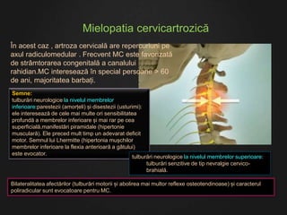 Mielopatia cervicartrozică
În acest caz , artroza cervicală are repercuriuni pe
axul radiculomedular . Frecvent MC este favorizată
de strâmtorarea congenitală a canalului
rahidian.MC interesează în special persoane > 60
de ani, majoritatea barbați.
Bilateralitatea afectărilor (tulburări motorii și abolirea mai multor reflexe osteotendinoase) și caracterul
poliradicular sunt evocatoare pentru MC.
Semne:
tulburări neurologice la nivelul membrelor
inferioare:parestezii (amorțeli) și disestezii (usturimi):
ele interesează de cele mai multe ori sensibilitatea
profundă a membrelor inferioare și mai rar pe cea
superficială.manifestări piramidale (hipertonie
musculară). Ele preced mult timp un adevarat deficit
motor. Semnul lui Lhermitte (hipertonia mușchilor
membrelor inferioare la flexia anterioară a gâtului)
este evocator.
tulburări neurologice la nivelul membrelor superioare:
tulburări senzitive de tip nevralgie cervico-
brahială.
 
